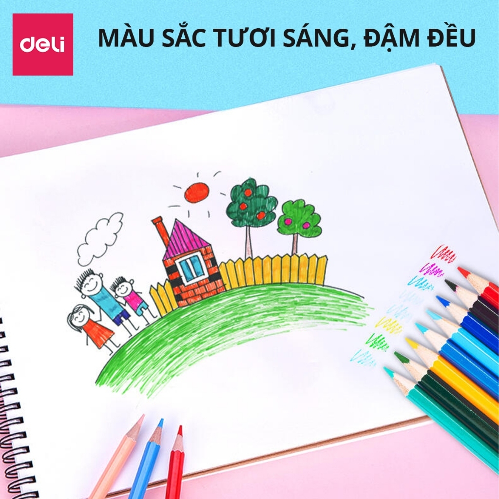 [Deli] Bút Chì Màu Gốc Dầu & Xóa Được – Bộ 12/24/36/48 Màu, Lõi Chì Dày, Màu Tươi, Tặng Gọt Bút