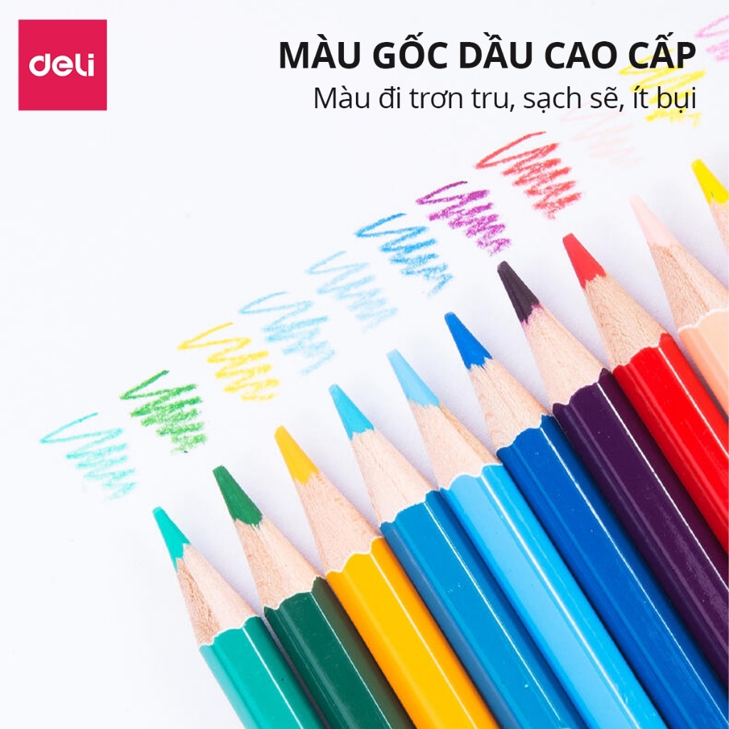 [Deli] Bút Chì Màu Gốc Dầu & Xóa Được – Bộ 12/24/36/48 Màu, Lõi Chì Dày, Màu Tươi, Tặng Gọt Bút