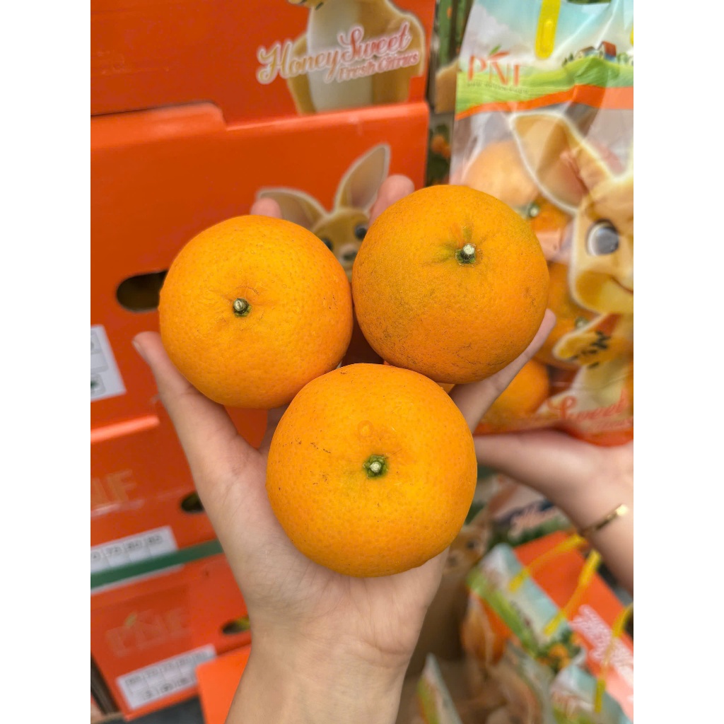 [ JENNY FRUIT ] Quýt úc túi 1kg ngon ngọt