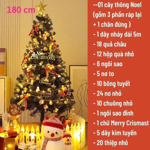 Cây Thông Noel Trang Trí Noel 1M8, 2M1, 2M4 - Cây Thông Lá Xanh Tán Dày Tặng Phụ Kiện Siêu Đẹp 991