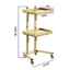 Thư Cảm Ơn Khách Hàng Đã Luôn Ủng Hộ Shop Trong Thời Gian Qua