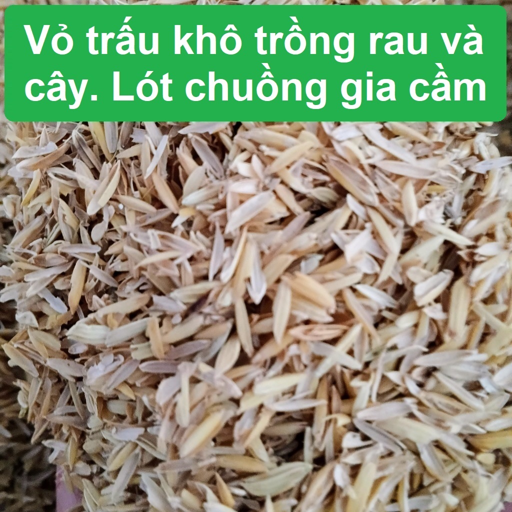 Vỏ trấu khô 2kg (20dm3) trồng rau, cây, lót chuồng gia cầm | Shopee ...