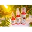 Mực Xăm Môi Ether Pigment PMU Hữu Cơ Chính Hãng – Siêu Bám, Lên Màu Chuẩn 100%