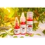 Mực Xăm Môi Ether Pigment PMU Hữu Cơ Chính Hãng – Siêu Bám, Lên Màu Chuẩn 100%
