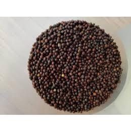 1kg hạt cải + lẫn vụn đậu hà lan thức ăn cho chim yến hót, vẹt, chích chòe giàu dinh dưỡng