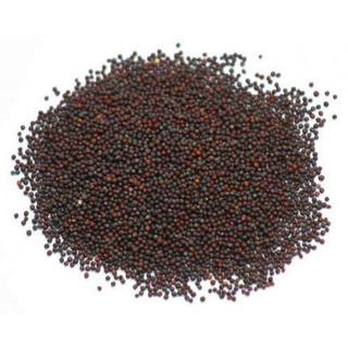 1kg hạt cải + lẫn vụn đậu hà lan thức ăn cho chim yến hót, vẹt, chích chòe giàu dinh dưỡng