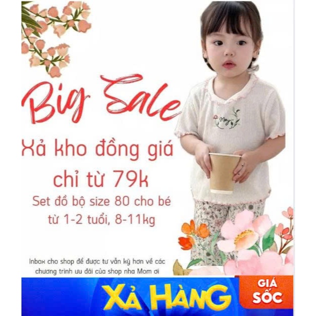 Xả kho - Bộ đồ bé trai, bộ đồ bé gái đồng giá, hàng thiết kế cao cấp size 80 cho bé 1-2 tuổi, 8-11kg Miniumbaby