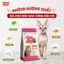 TODAY'S DINNER ALL LIFE - Thức ăn hạt cho Mèo Mọi Lứa Tuổi dinh dưỡng ngừa búi lông nhập khẩu Hàn Quốc