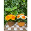 Chậu hoa hồng len để bàn- Chậu hoa hồng hanmade decor