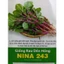 HẠT GIỐNG DỀN HỒNG NINA - HẠT MỚI, NHANH NẢY MẦM, CÂY KHỎE TO