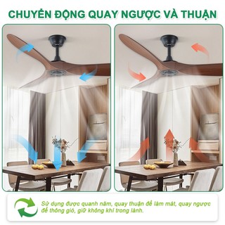 quạt trần 3 cánh chùm tân cổ điển cho phòng khách Quạt phòng ngủ hiện đại