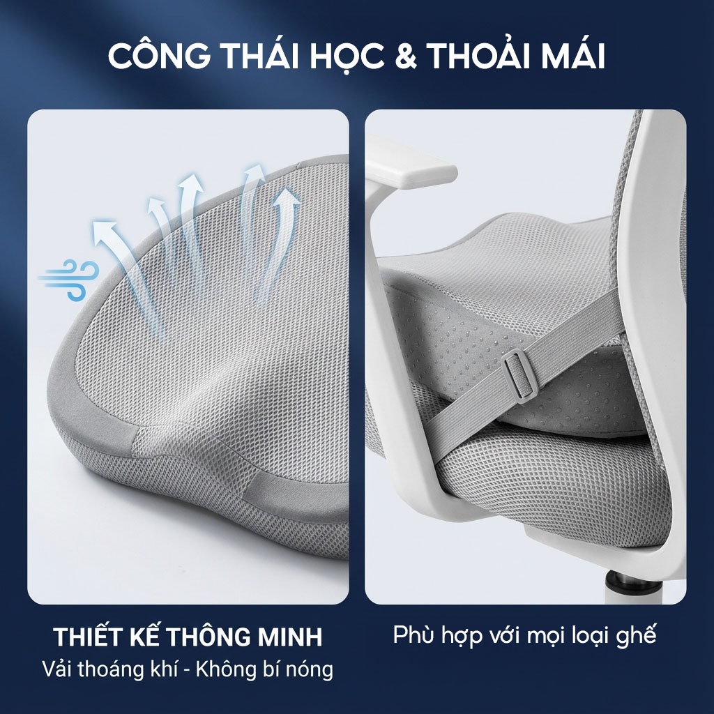 Sản Phẩm Đệm Lót Ghế Cao Su Non - Đệm Lót Ghế Cao Su Non
