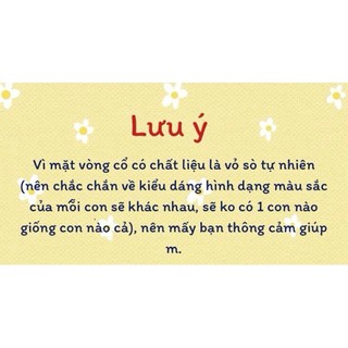 Móc khoá vỏ sò , phụ kiện đi biển làm quà tặng (SIÊU XINH)