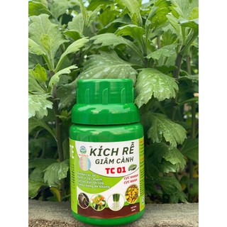 KÍCH RỄ, GIÂM CÀNH TC01 - CHUYÊN DÙNG CHO MAI VÀNG, CÂY CẢNH, BONSAI, RAU MÀU VÀ CÁC LOẠI CÂY CÔNG NGHIỆP (100ML)
