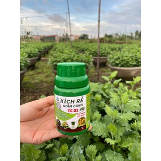 KÍCH RỄ, GIÂM CÀNH TC01 - CHUYÊN DÙNG CHO MAI VÀNG, CÂY CẢNH, BONSAI, RAU MÀU VÀ CÁC LOẠI CÂY CÔNG NGHIỆP (100ML)