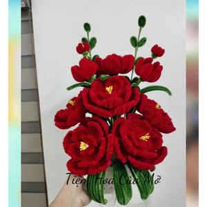 Chậu mẫu đơn kẽm nhung tông đỏ