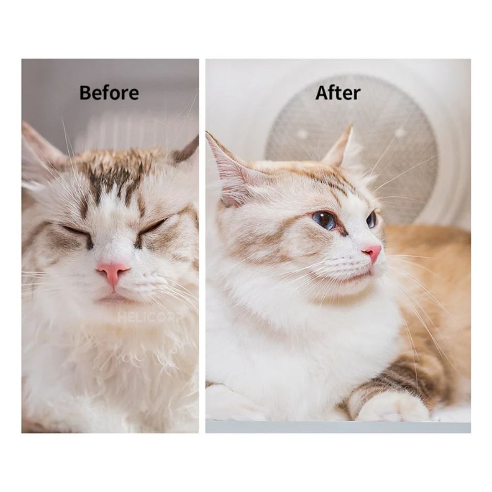 [New 2026] Máy Sấy Lông Chó Mèo Petkit AirSalon Max Pro 2026 Lồng Sấy Lông Thú Cưng Spa Tại Nhà