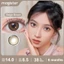 0-6độ lens Magister đen kính áp tròng lens Brown kính Allure Gray 14.5mm lens for girls lens
