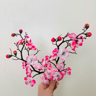 [ TẶNG 10 LIXI ] COBO ĐÀO CỔ trang trí deco TẾT 2026 ĐẸP TUYỆT TRẦN