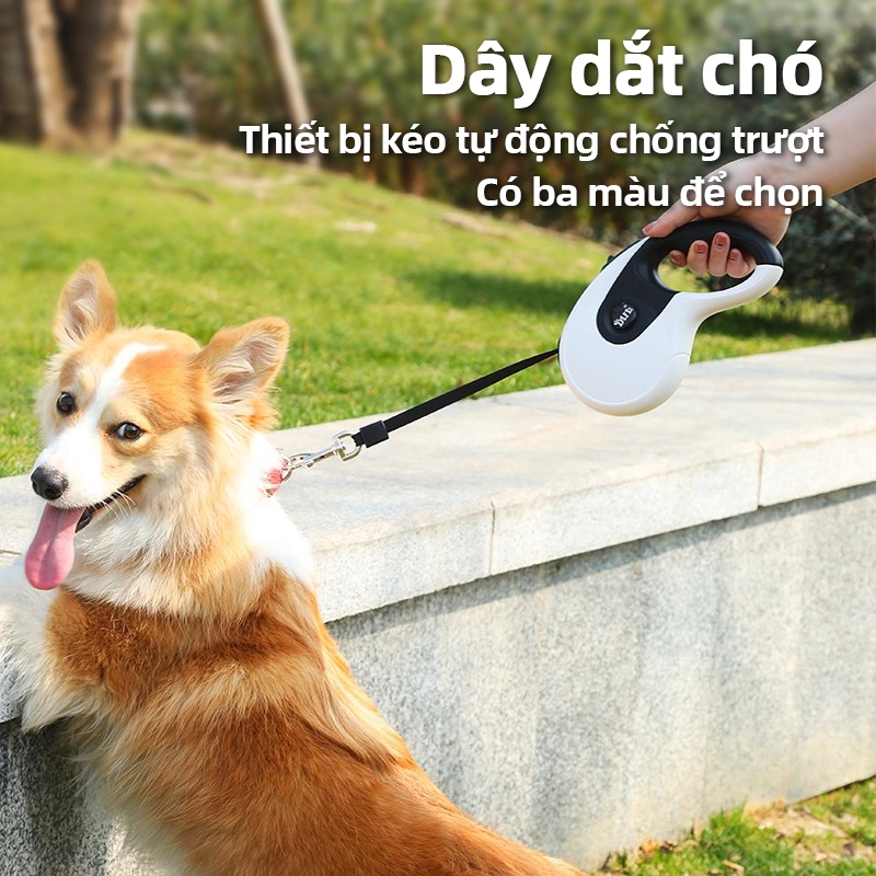 Dây Dắt Chó Tự Động Thu Dây Cutepet– Điều Chỉnh Độ Dài, Xoay 360°, Dắt Chó Đi Dạo An Toàn & Thoải Mái
