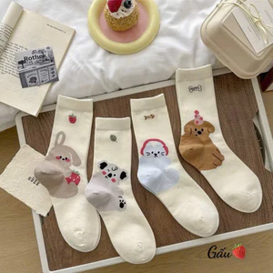 Sét 10 đôi Vớ tất cổ cao ,hình thỏ mèo xanh ,cún xám nâu dưới gót chân hình thú ngộ nghĩnh dễ thương 🥰