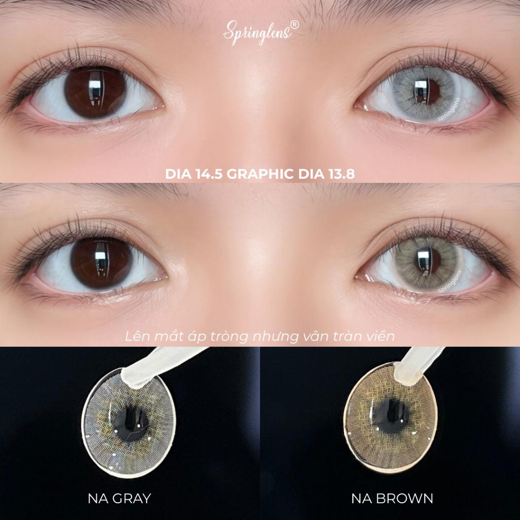 Kính áp tròng Na Brown (Navy) nâu ngà tây áp tròng không giãn Pang Brown 1 tháng | Spring Lens
