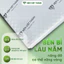 Nệm Foam Massage Hoạt Tính Việt Thành Ưu Việt, Foam Nâng Đỡ, Kháng Khuẩn, Khử Mùi, Tốt Sức Khỏe Người Nằm