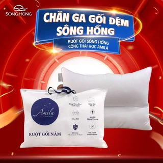 Ruột gối công thái học Sông Hồng Amila 45x65