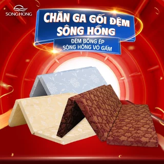 [Hàng chính hãng - có bảo hành] Đệm Sông Hồng bông ép tinh khiết vải gấm