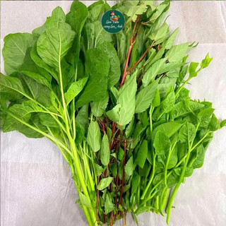 [COMBO 3 GÓI] Hạt Giống Rau Nấu Canh: Mồng Tơi, Rau Dền, Rau Đay Dễ Trồng, Nhanh Thu Hoạch