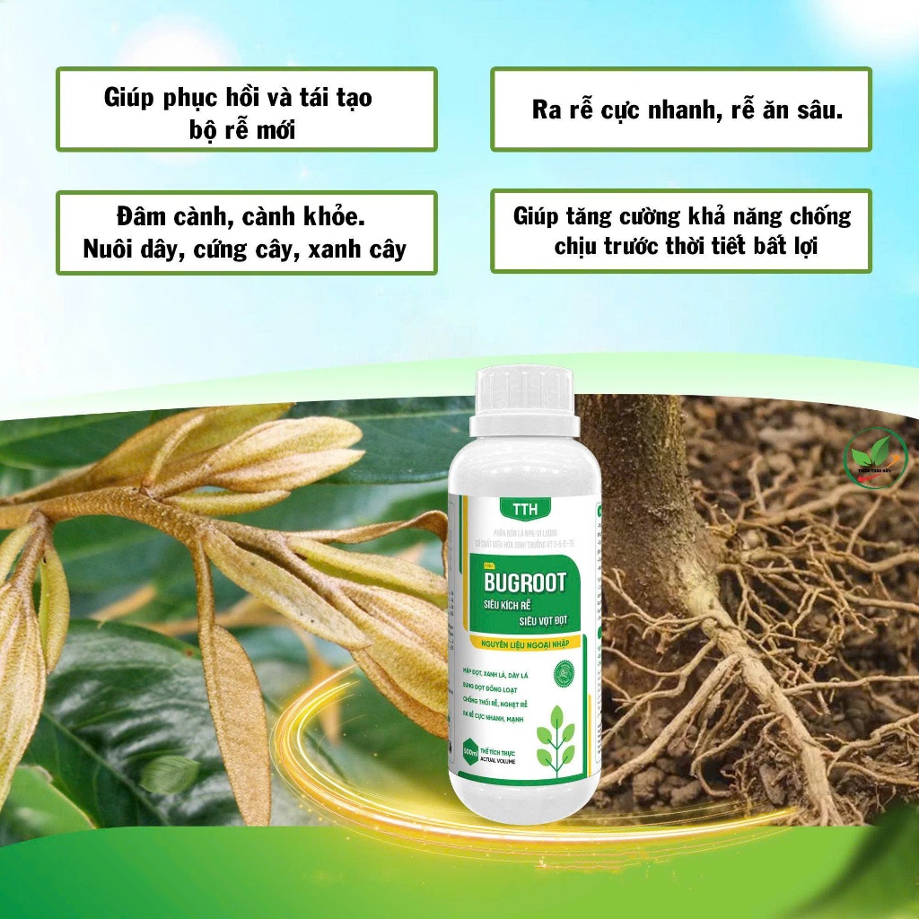 Phân bón vi lượng Siêu Vọt Đọt, kéo đọt mạnh, siêu kích rễ, phục hồi cây sau thu hoạch.Chai 500ml