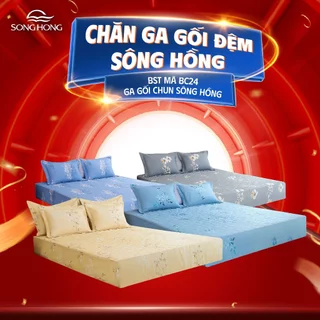 BST mã BC24 - Ga gối chun Sông Hồng Basic cotton