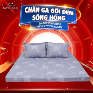 Bộ ga chun Sông Hồng Basic cotton BC25115 mẫu mới 2025