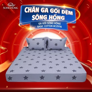 Bộ ga chun Sông Hồng Basic Cotton BC25116 mẫu mới 2025