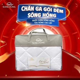Ruột chăn Sông Hồng thu đông cao cấp urban nặng 1,5kg size 200x220cm