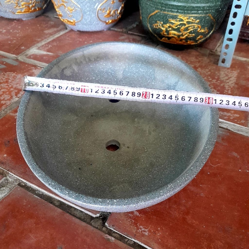 chậu trồng cây bonsai để bàn