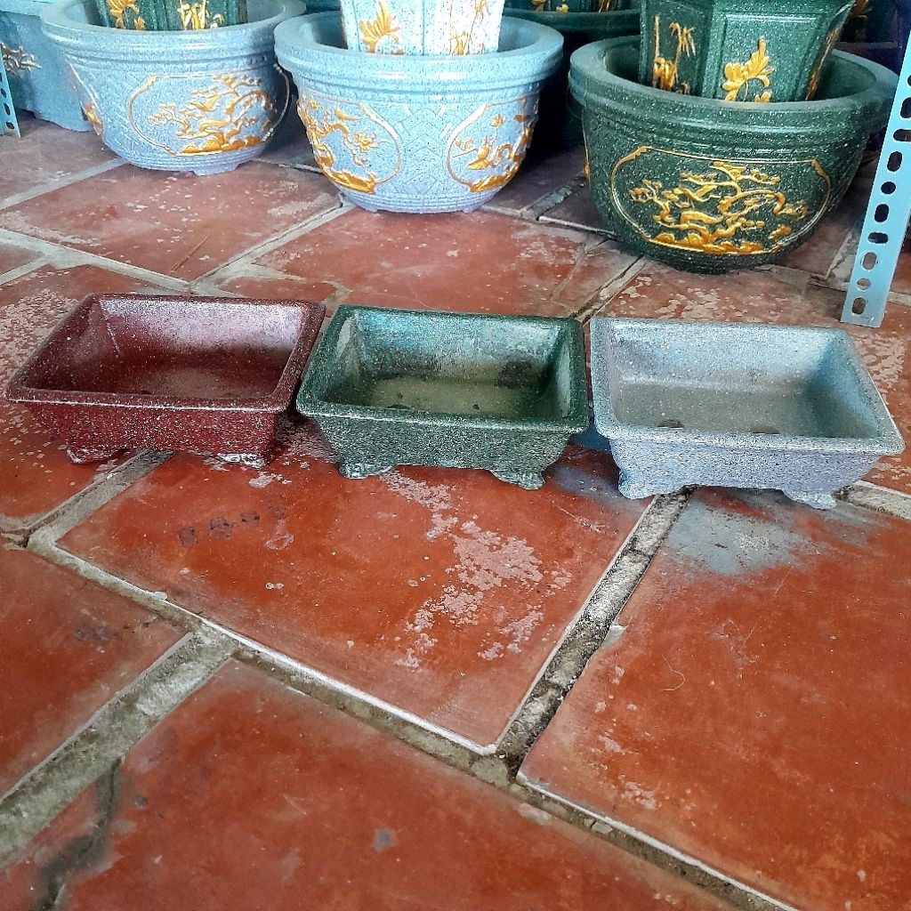 chậu trồng cây bonsai để bàn