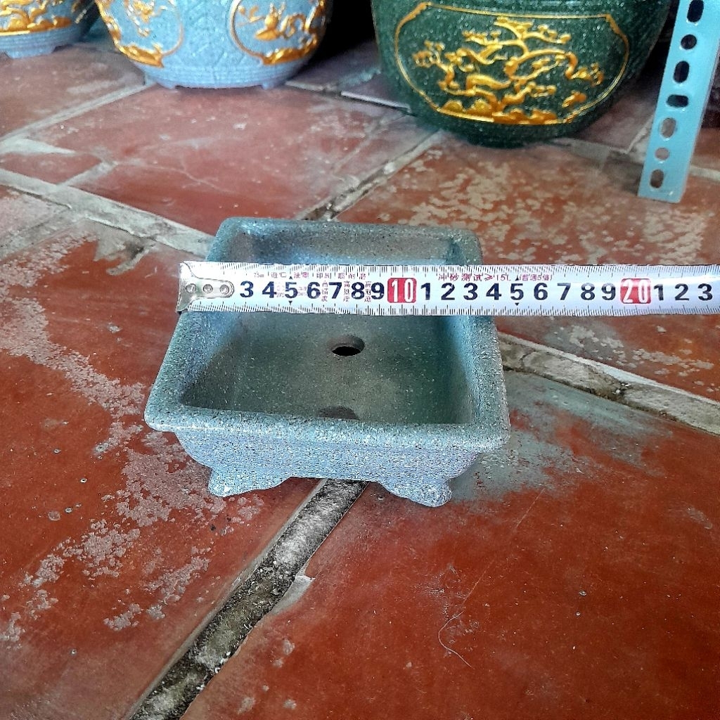 chậu trồng cây bonsai để bàn