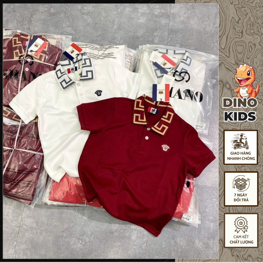 Áo Polo Bé Trai Thêu Logo 2 Màu Siêu Đẹp - Áo Polo Bé Trai Vơ Sạc Thêu Logo Cao Cấp Phong Cách Boy phố