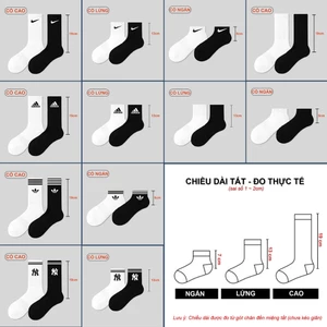 Tất cổ ngắn Tất thể thao ngắn cổ Sợi Cotton xuất dư cao cấp Đổ sỉ giá tốt nhất thị trường
