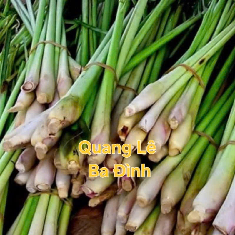 500g Cây Xả giống ( bụi xả nguyên dễ và đất), củ xả KVT