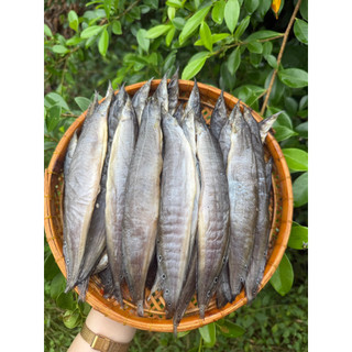 KHÔ CÁ CHẠCH VỊ VỪA ĂN GÓI 250G( tặng kèm mắm me)