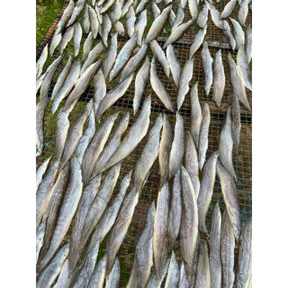 KHÔ CÁ CHẠCH VỊ VỪA ĂN GÓI 250G( tặng kèm mắm me)