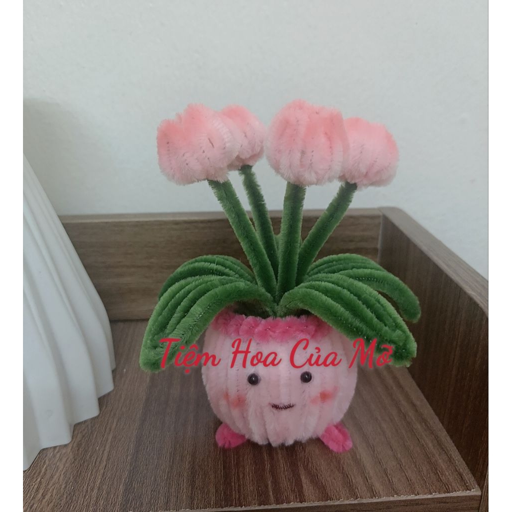 Chậu Hoa Tulip Kẽm Nhung Mẫu Chậu Tròn Siêu Xinh