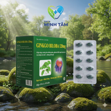 (Xanh Lá) Viên uống GINKGO BILOBA 120mg giúp tăng cường trí nhớ - Hộp 100 Viên
