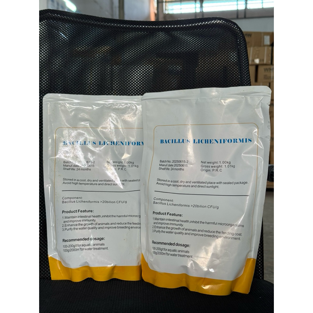 Vi Sinh đơn dòng Bacillus Licheniformis - chuyên xử lý ao nuôi