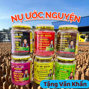 Nụ Ước Nguyện In 4 Mặt Chữ, Nụ Xông Nhà, Nụ Xông Hương Tự Nhiên 30 Nụ/Hộp 500g