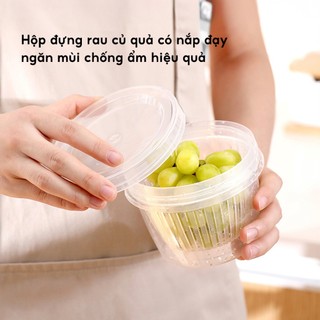 AMZO_HỘP ĐỰNG HÀNH TỎI TÁCH NƯỚC ĐỂ TỦ LẠNH-HỘP NHỰA CÓ LỖ THOÁT NƯỚC VÀ NẮP KÍN TIỆN LỢI