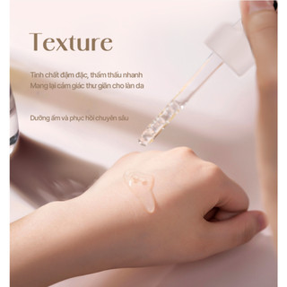 Bộ 3 Chống Lão Hóa Elravie Pro Genltel Cleansing Balm & Utimate Ampoule & Glow Ampoule