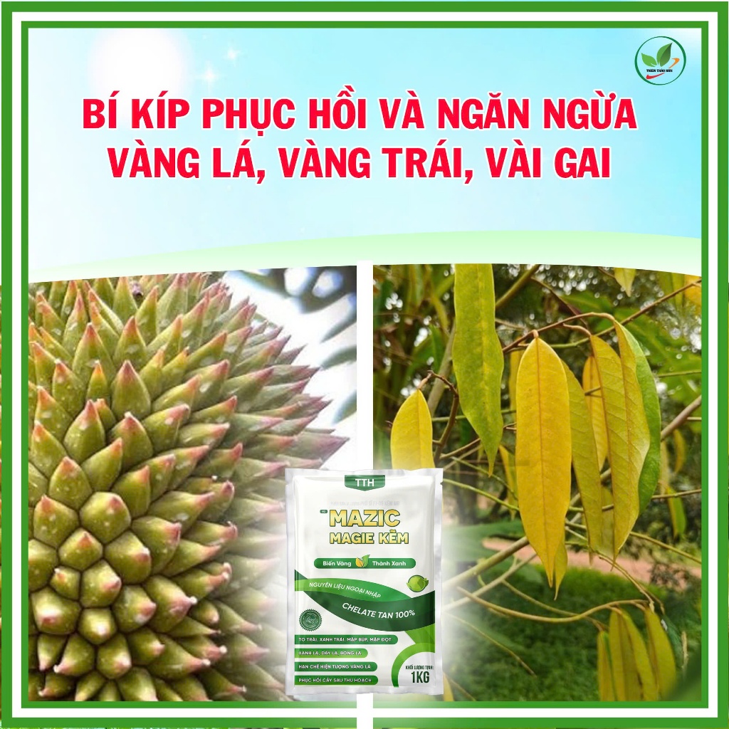 Phân bón Mazic Magie Kẽm (Phú sĩ FJ-09): Bí quyết phục hồi vàng lá, tăng chồi cực mạnh, Gói 1Kg